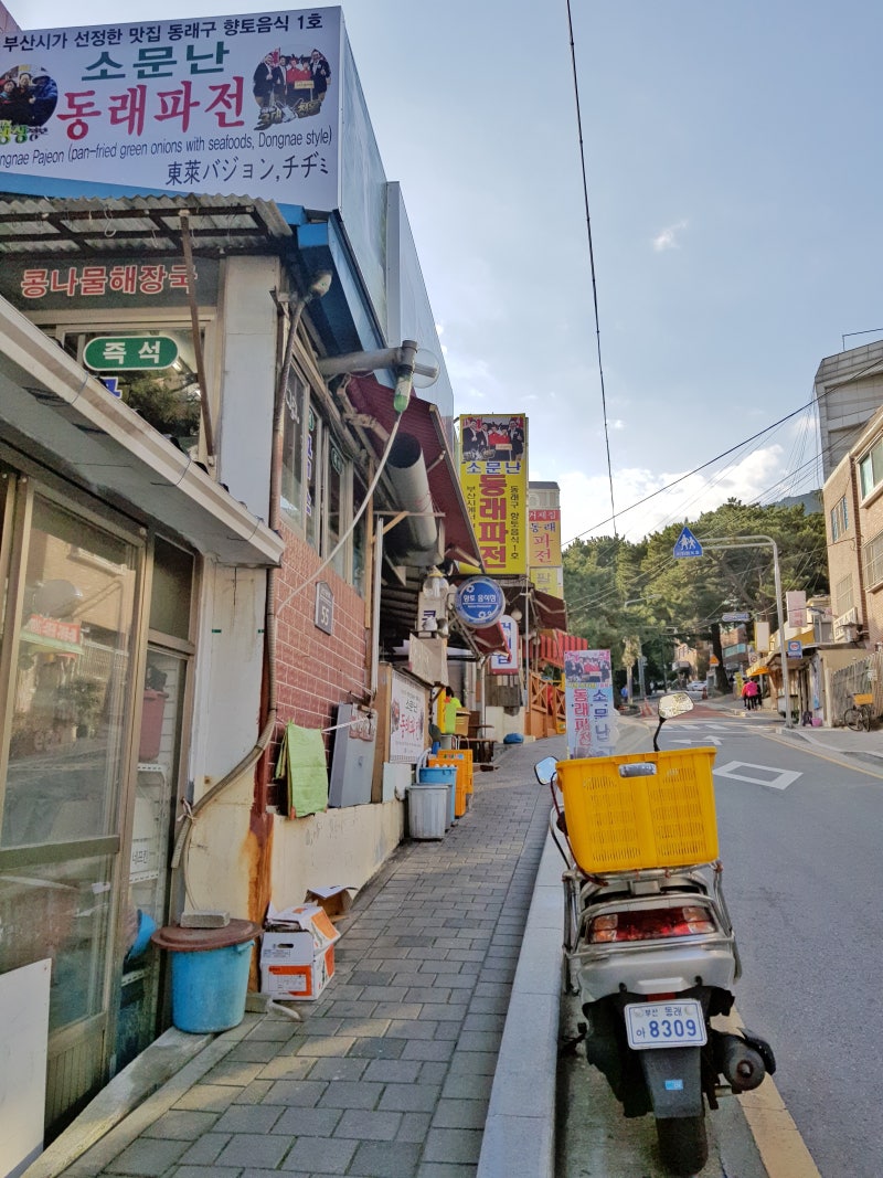 부산 소문난 동래파전~